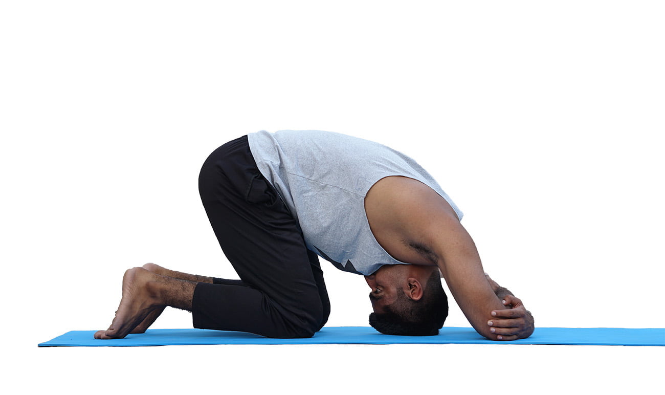 YogaKaro - This rabbit pose stimulates the immune and endocrine systems.  Know the Sasankasana benefits here: Sasankasana is also called the Rabbit  Pose or Crescent Moon Pose. It is a bending pose