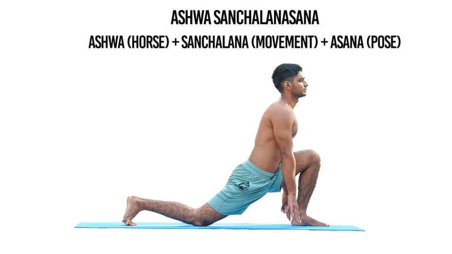 Ashwa Sanchalanasana (Equestrian Pose)